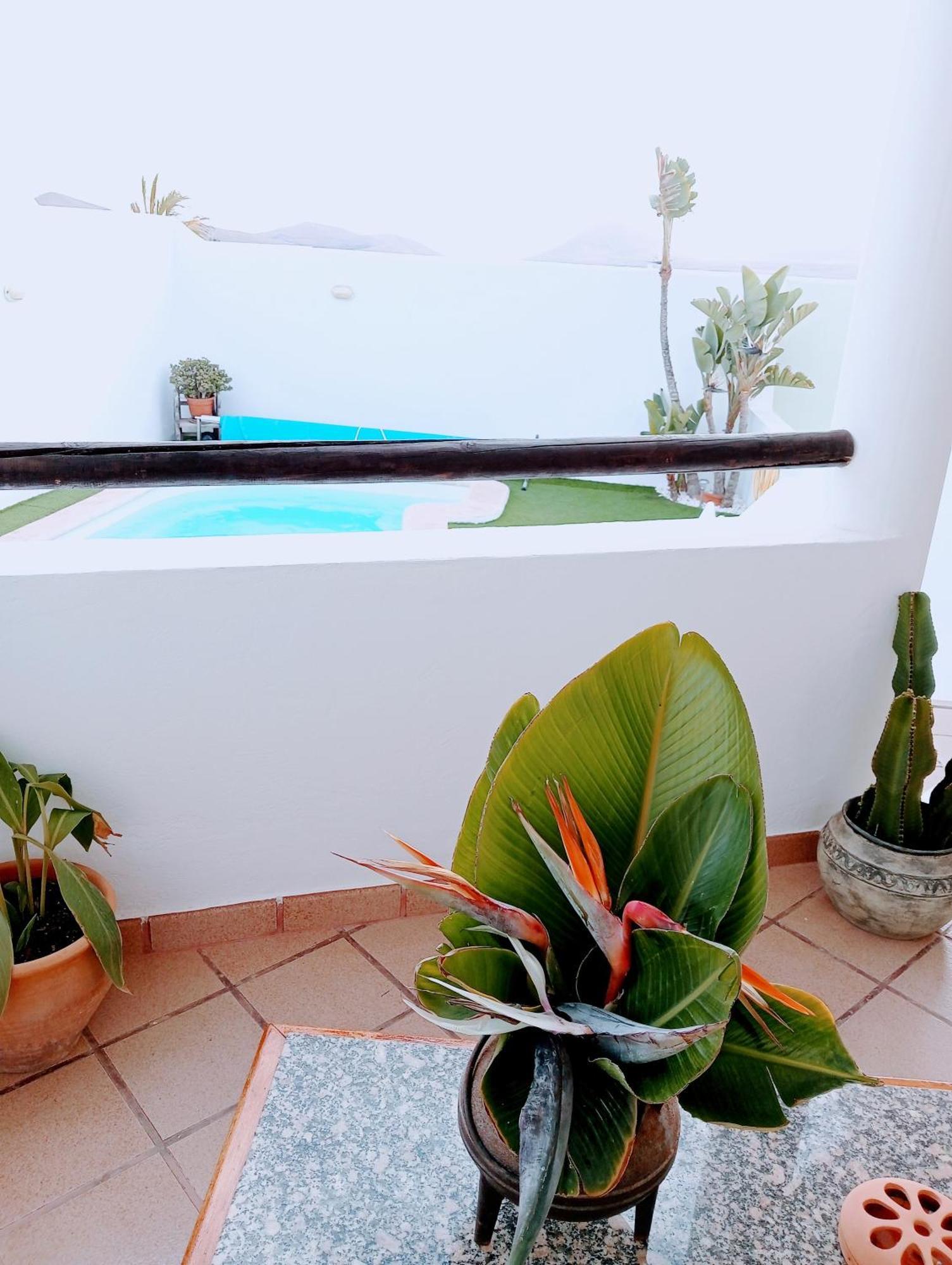 Nazaret Casa Strelitzia 빌라 외부 사진