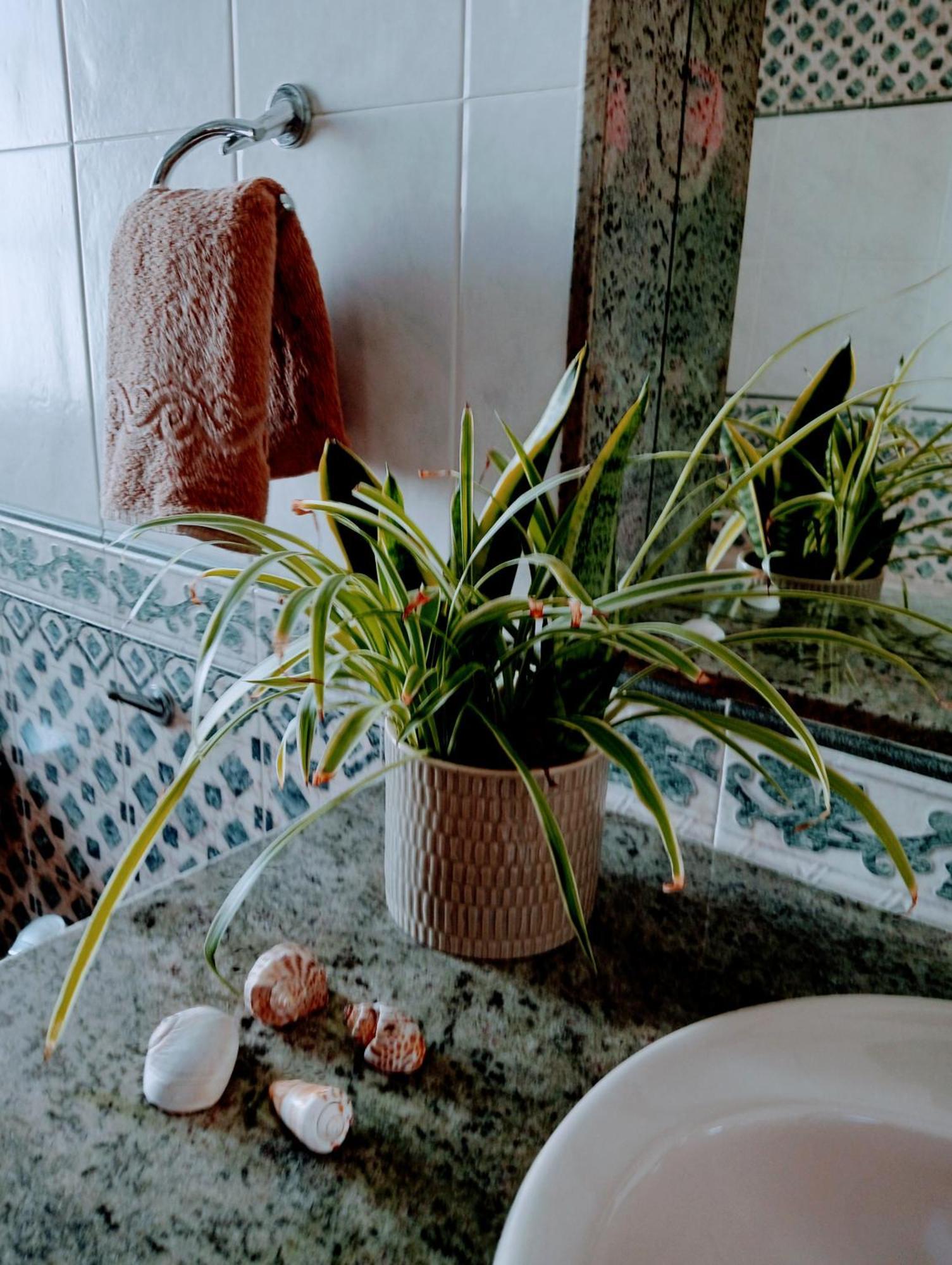 Nazaret Casa Strelitzia 빌라 외부 사진