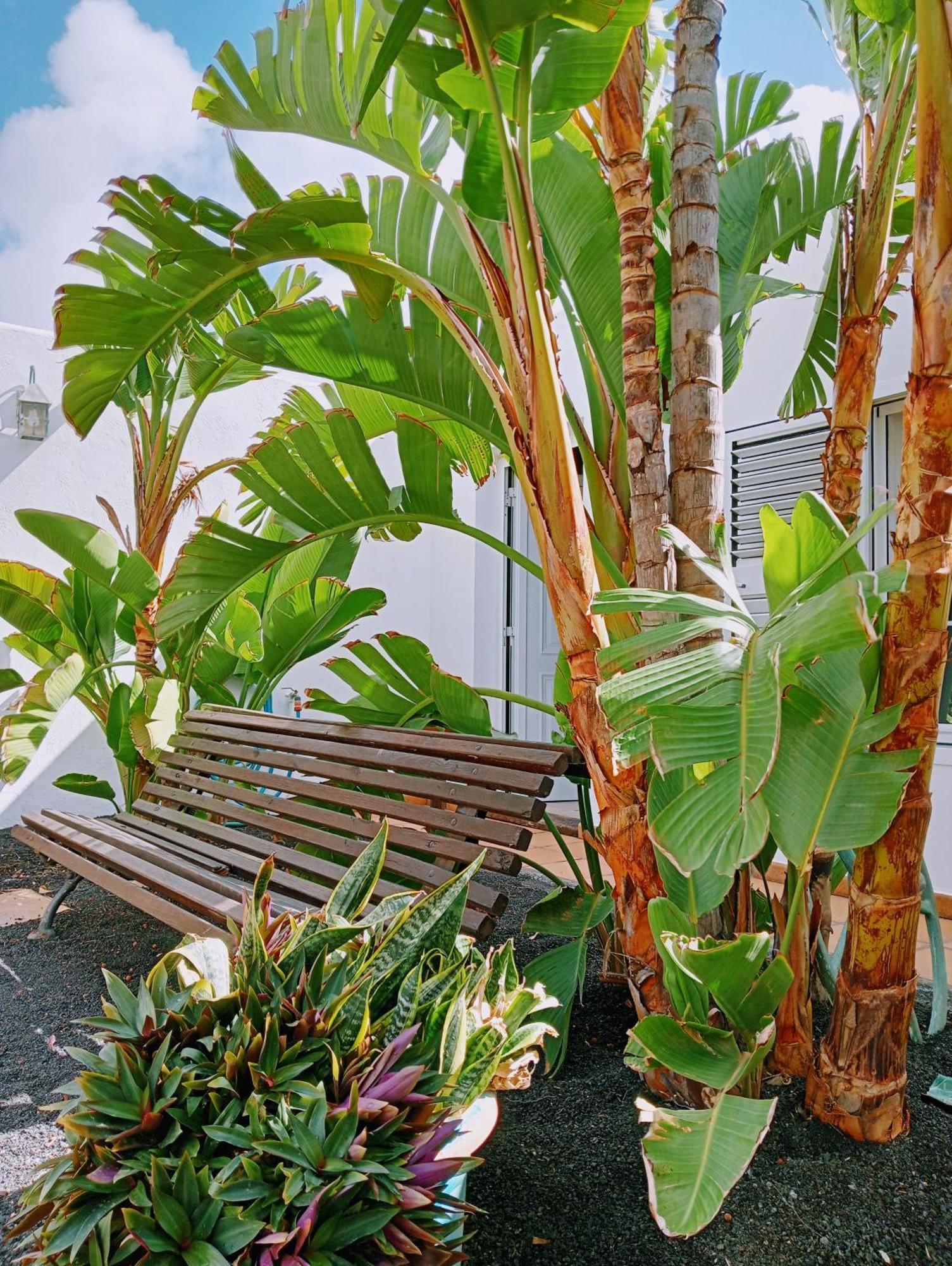 Nazaret Casa Strelitzia 빌라 외부 사진