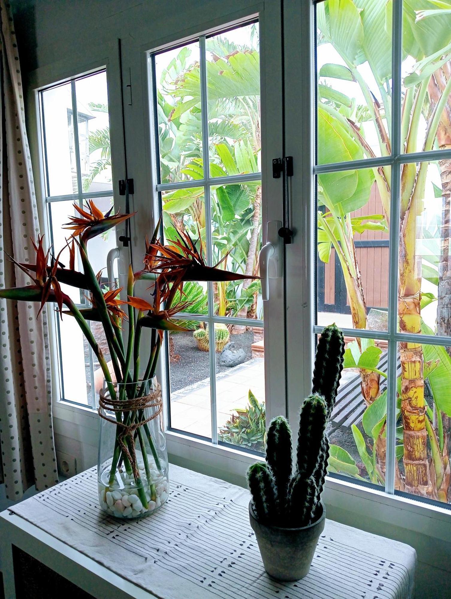 Nazaret Casa Strelitzia 빌라 외부 사진